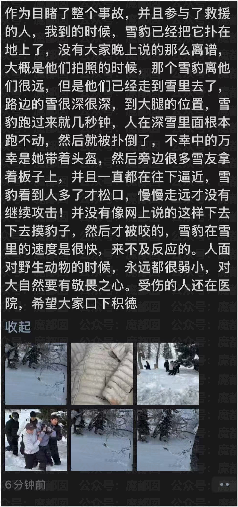 震撼！漂亮女生新疆旅游被野生雪豹撕咬，血流满面被人搀扶走出险境（视频/组图） - 8