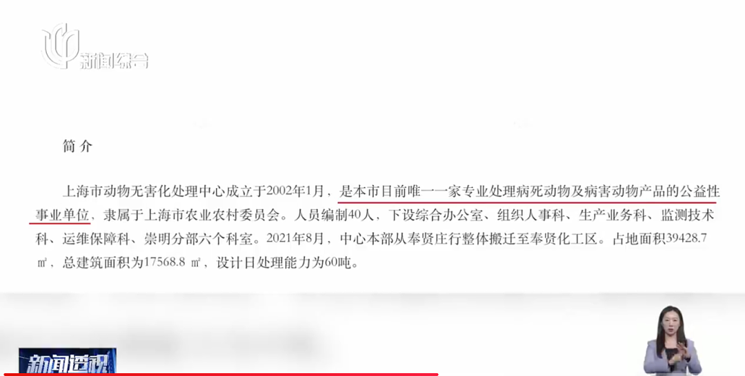 焚化炉送上门！这种需求在上海激增！遗体告别、选择墓地…网友吵翻（组图） - 12