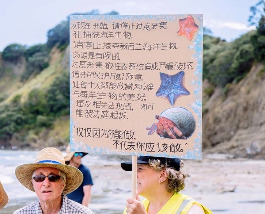 大规模针对华人抗议爆发！本地人在海边用中文横幅抵制，某书帖子竟成了铁证...（组图） - 4