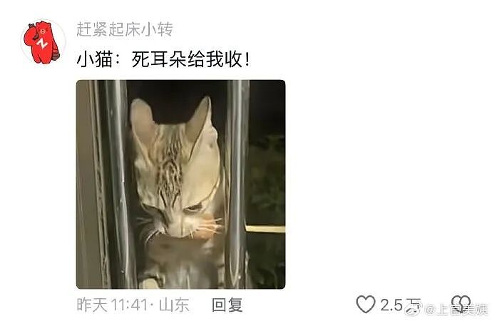 【爆笑】半夜和老公去酒吧玩,结果他给我点了个男模是啥意思?(组图) - 63