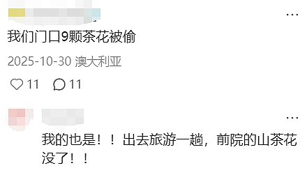 天啊！现在的墨尔本，连这个都有人偷了（组图） - 8