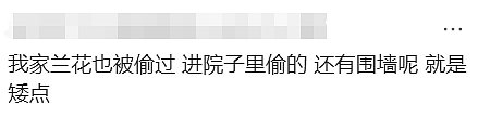 天啊！现在的墨尔本，连这个都有人偷了（组图） - 16