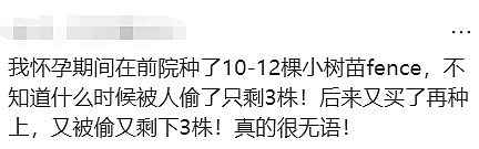 天啊！现在的墨尔本，连这个都有人偷了（组图） - 9