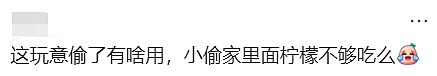 天啊！现在的墨尔本，连这个都有人偷了（组图） - 5