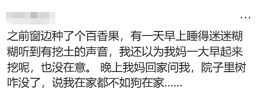 天啊！现在的墨尔本，连这个都有人偷了（组图） - 13