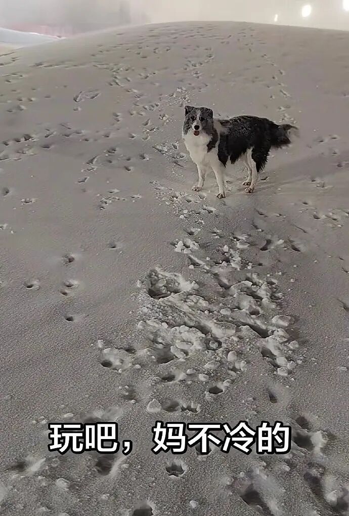 【爆笑】半夜和老公去酒吧玩,结果他给我点了个男模是啥意思?(组图) - 41