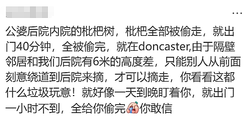 天啊！现在的墨尔本，连这个都有人偷了（组图） - 11