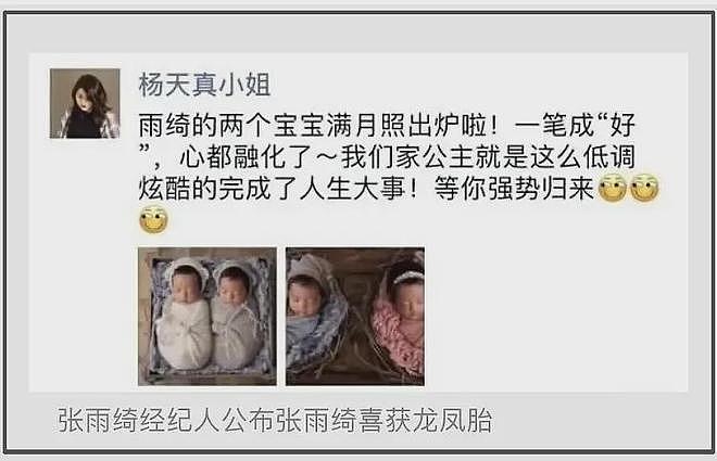 葛晓倩喊话张雨绮晒出生证明！杨天真帮其隐瞒代孕，评论区沦陷（组图） - 19