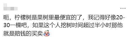 天啊！现在的墨尔本，连这个都有人偷了（组图） - 6