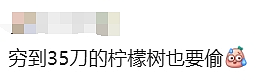 天啊！现在的墨尔本，连这个都有人偷了（组图） - 4