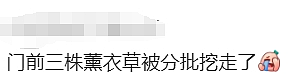 天啊！现在的墨尔本，连这个都有人偷了（组图） - 15