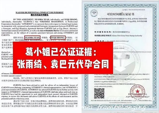 葛晓倩喊话张雨绮晒出生证明！杨天真帮其隐瞒代孕，评论区沦陷（组图） - 9