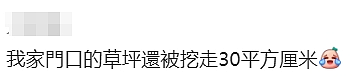 天啊！现在的墨尔本，连这个都有人偷了（组图） - 18