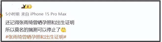 葛晓倩喊话张雨绮晒出生证明！杨天真帮其隐瞒代孕，评论区沦陷（组图） - 3