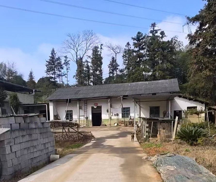 网红称办杀猪宴被索2千场地费还遭抢肉，村民喊冤：对方失信在先（组图） - 3