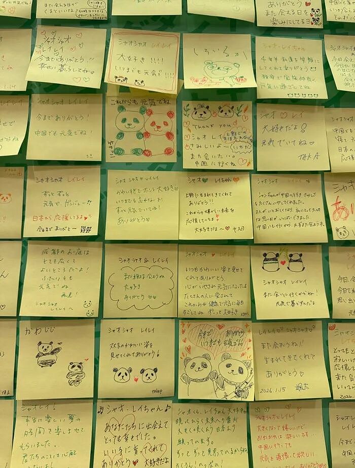 旅日大熊猫今天最后一天公开亮相,超10万人争抢参观名额!留言写满整面墙,日本将没有大熊猫(组图) - 5