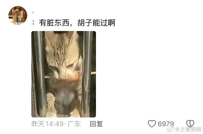 【爆笑】半夜和老公去酒吧玩,结果他给我点了个男模是啥意思?(组图) - 65