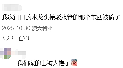 天啊！现在的墨尔本，连这个都有人偷了（组图） - 22