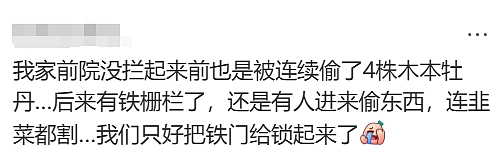 天啊！现在的墨尔本，连这个都有人偷了（组图） - 12