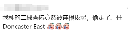 天啊！现在的墨尔本，连这个都有人偷了（组图） - 14