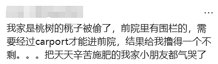 天啊！现在的墨尔本，连这个都有人偷了（组图） - 7