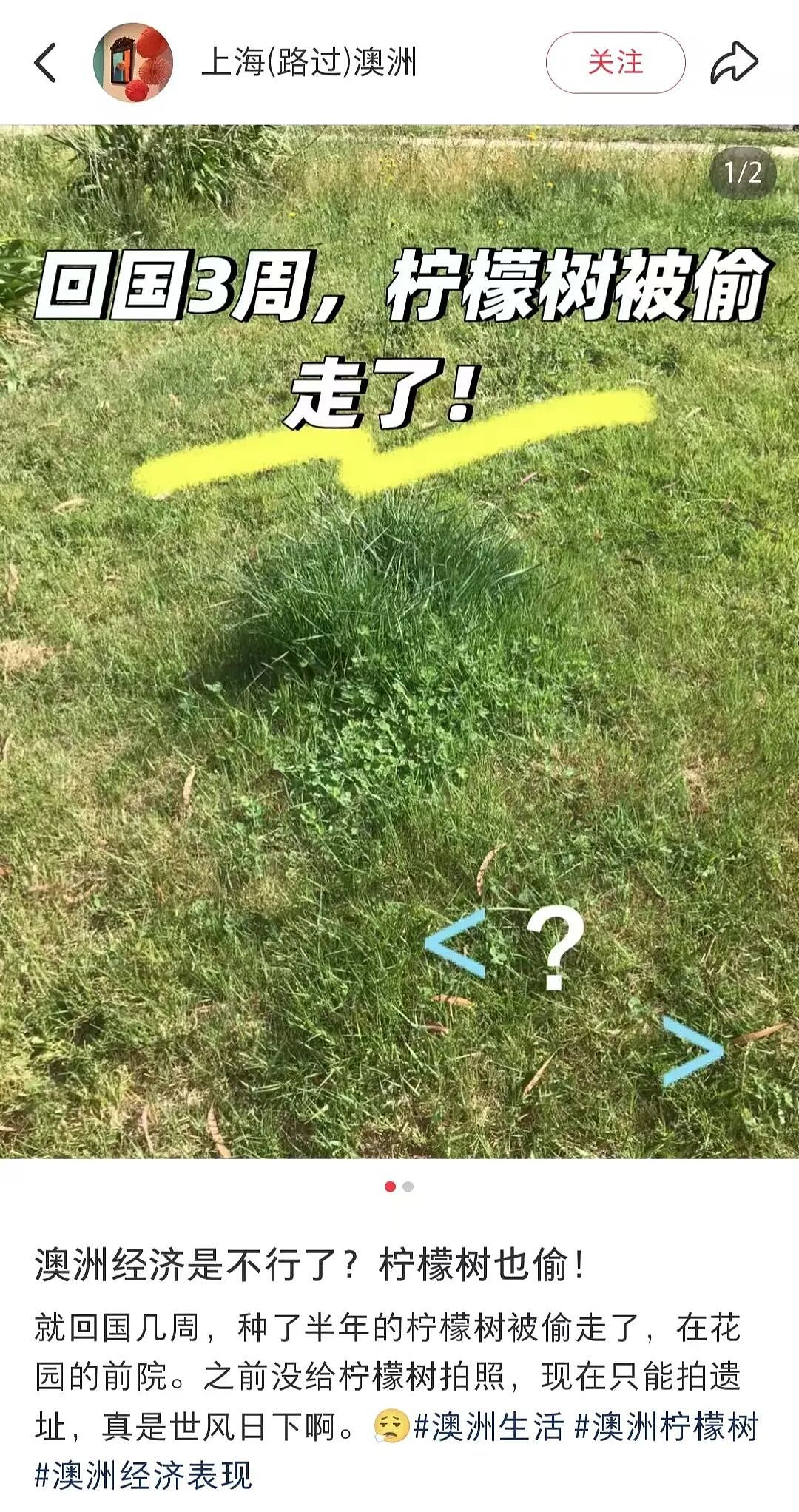天啊！现在的墨尔本，连这个都有人偷了（组图） - 3