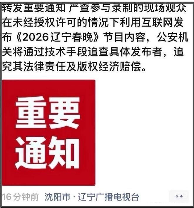 三个月生两娃?张雨绮“代孕+小三”风波持续发酵!遭春晚紧急除名(组图) - 9