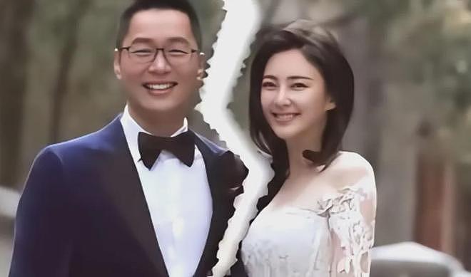 三个月生两娃?张雨绮“代孕+小三”风波持续发酵!遭春晚紧急除名(组图) - 15