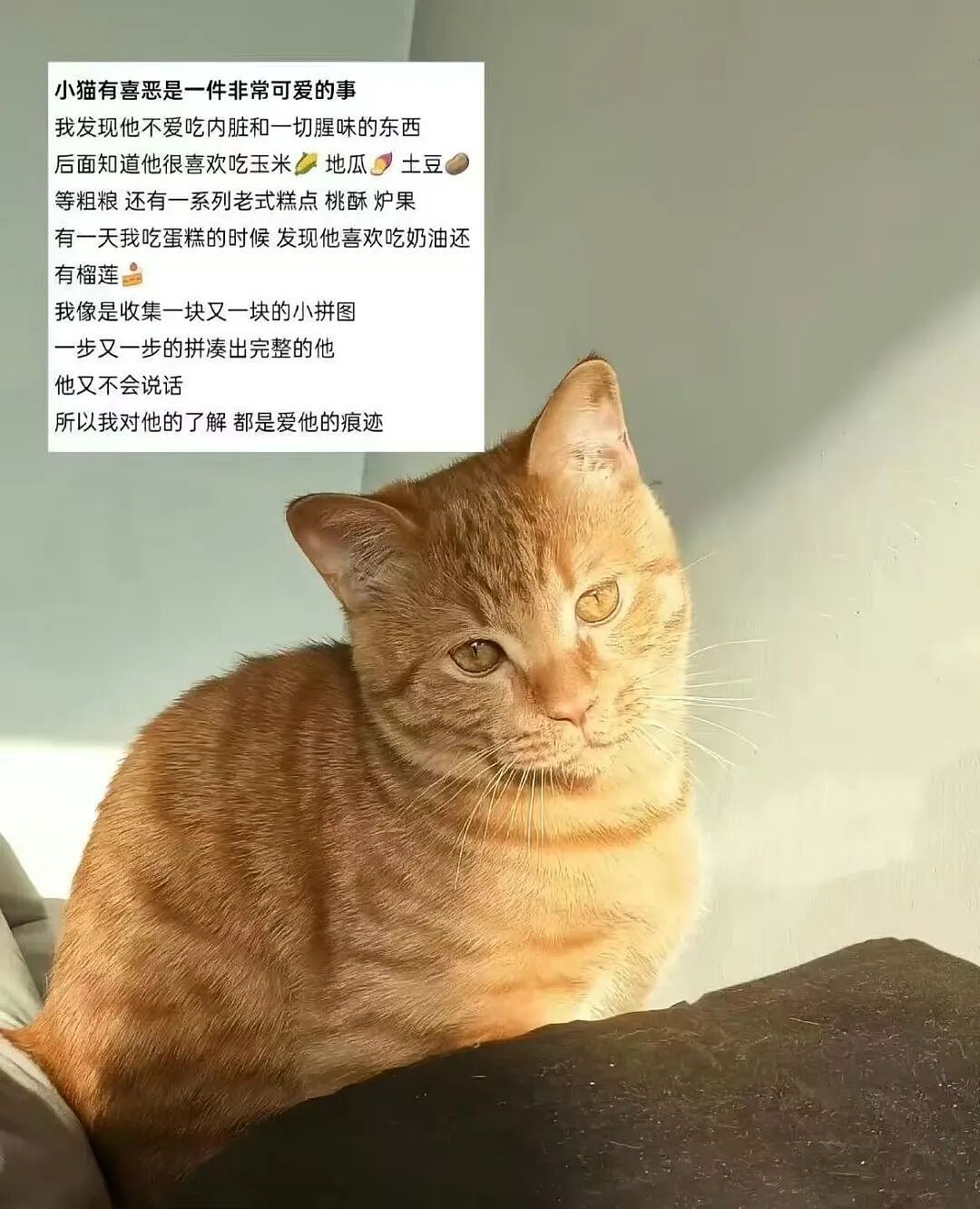 【爆笑】“朋友总把她的暧昧对象介绍给我…?”啊啊啊,把你当他们的love催化剂!(组图) - 72