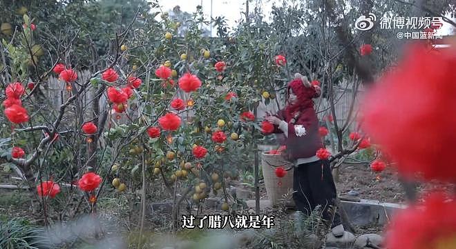 联合国教科文组织发布李子柒最新视频：喊你来当春节的传承人（组图） - 3
