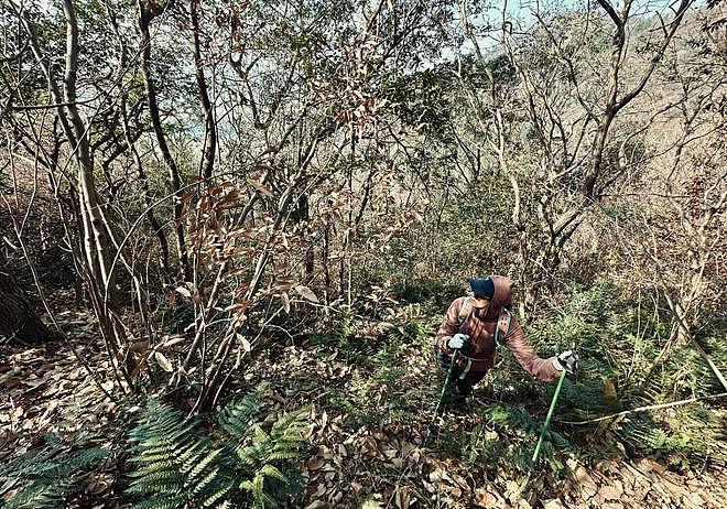 朱亚文妻子野爬大阳山，被背囊压得直不起腰，山路陡峭摔倒好狼狈（组图） - 3