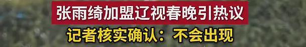 三个月生两娃?张雨绮“代孕+小三”风波持续发酵!遭春晚紧急除名(组图) - 2