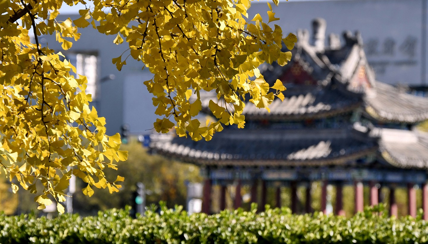 六旬老人跟团游北京猝死，旅行社曾连续两日凌晨集合，判赔35万（组图） - 1