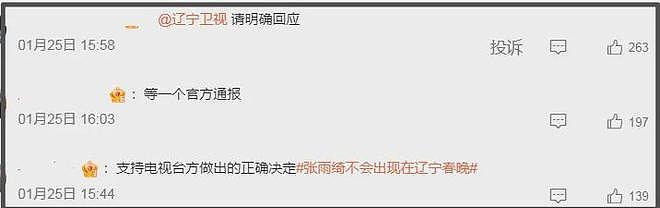 三个月生两娃?张雨绮“代孕+小三”风波持续发酵!遭春晚紧急除名(组图) - 6