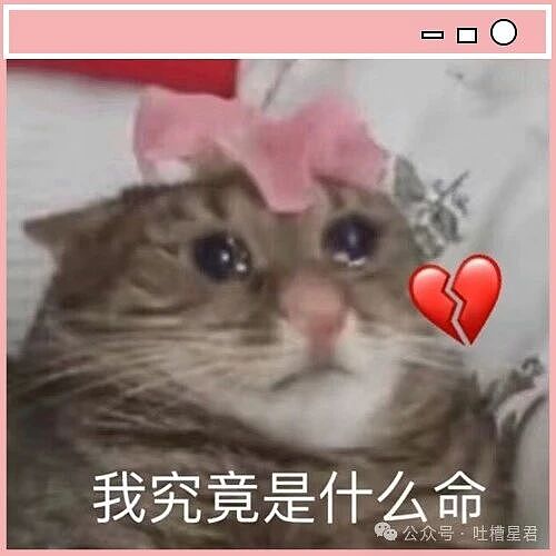 【爆笑】“朋友总把她的暧昧对象介绍给我…?”啊啊啊,把你当他们的love催化剂!(组图) - 94