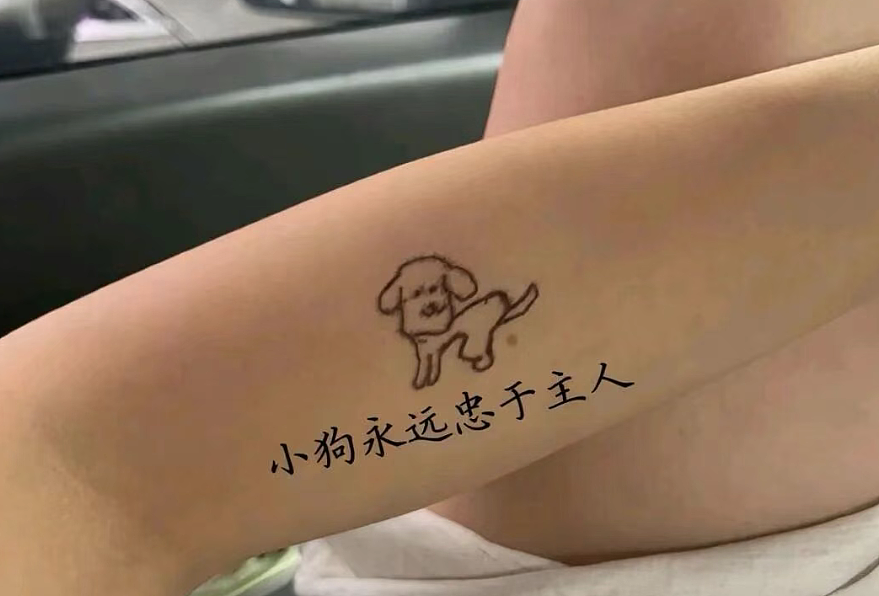 男生控制19岁大学生女友当“狗”被告强奸和虐待罪，这作恶手段相当卑劣！（组图） - 16