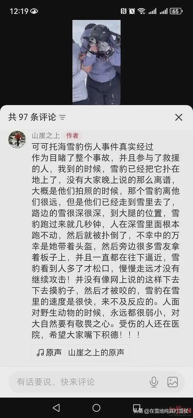 雪豹伤人真相曝光:不是偶遇是送命!当事人撒谎,航拍图还原真相(组图) - 14