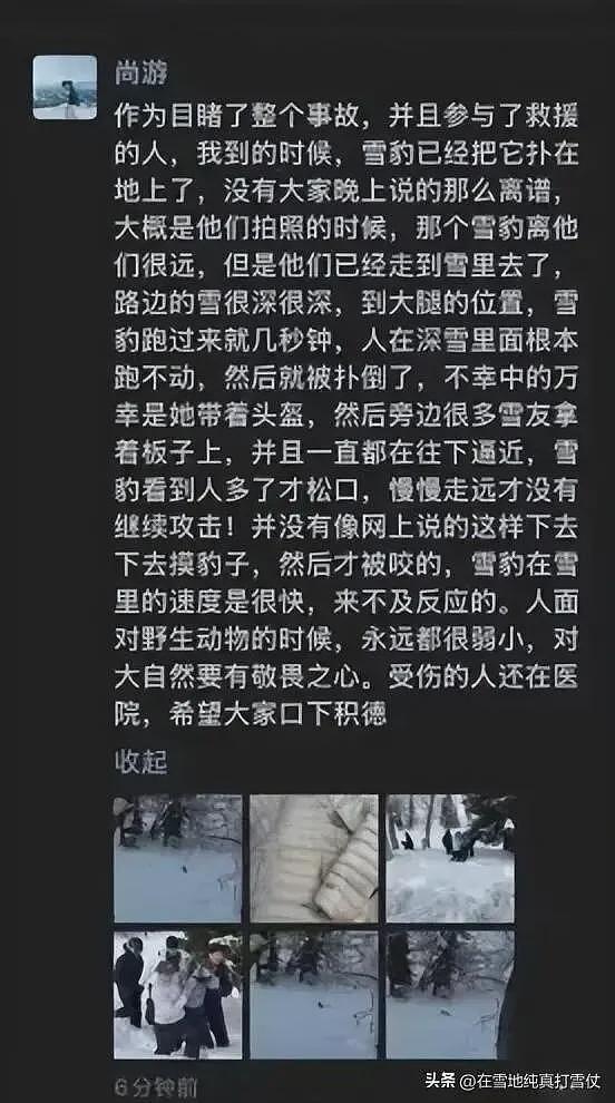 雪豹伤人真相曝光:不是偶遇是送命!当事人撒谎,航拍图还原真相(组图) - 15
