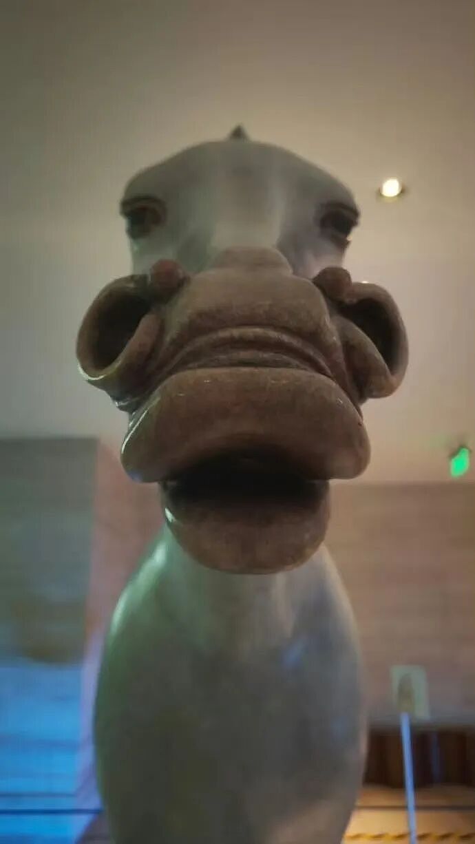 【爆笑】“女同事说女的断掌不好会克夫…？”啊啊啊网友辣评看得人乳腺通畅！（组图） - 38