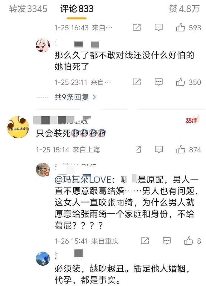 三个月生两娃?张雨绮“代孕+小三”风波持续发酵!遭春晚紧急除名(组图) - 5
