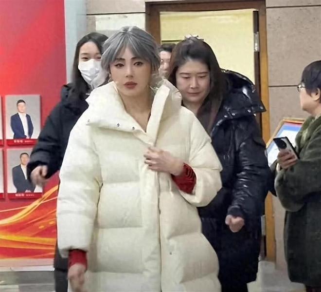 三个月生两娃?张雨绮“代孕+小三”风波持续发酵!遭春晚紧急除名(组图) - 4
