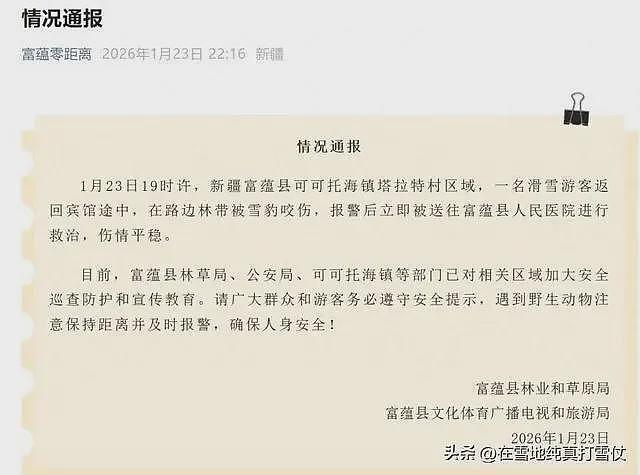 雪豹伤人真相曝光:不是偶遇是送命!当事人撒谎,航拍图还原真相(组图) - 11