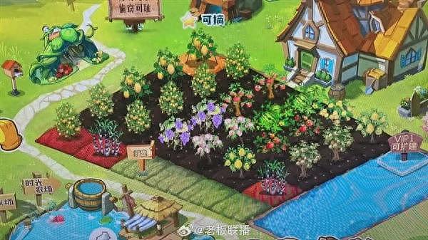 80，90后的养老游戏回来了！马化腾官宣：QQ农场回归（图） - 1