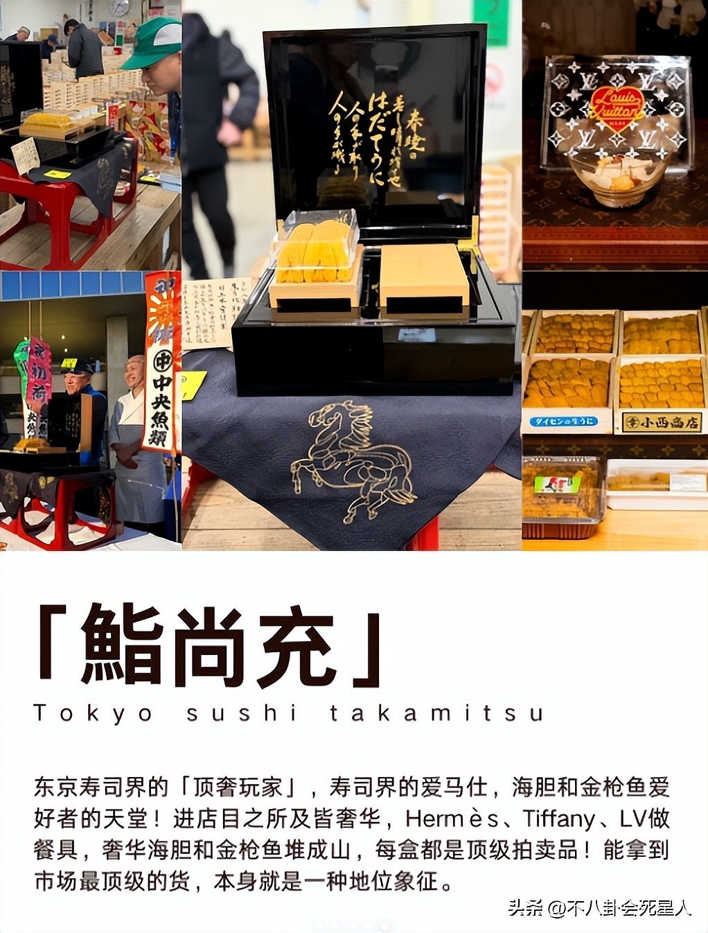 王思聪百万买下海胆之王，堪比一口一套房（图） - 4