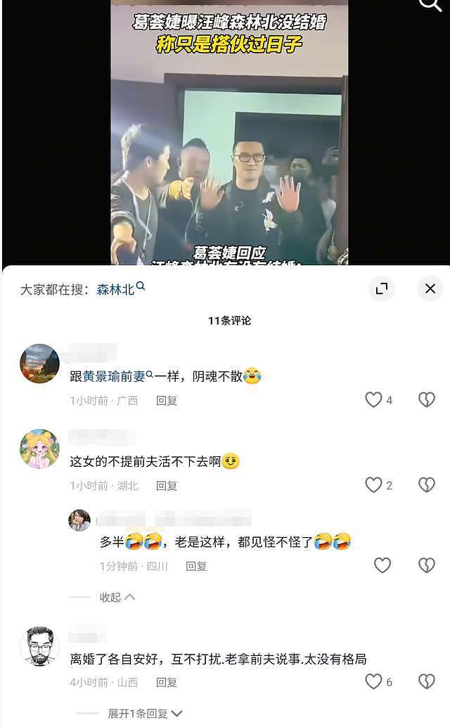葛荟婕直播造谣再翻车!撒谎成性靠前任吸血,假慈母人设早被戳穿(组图) - 4