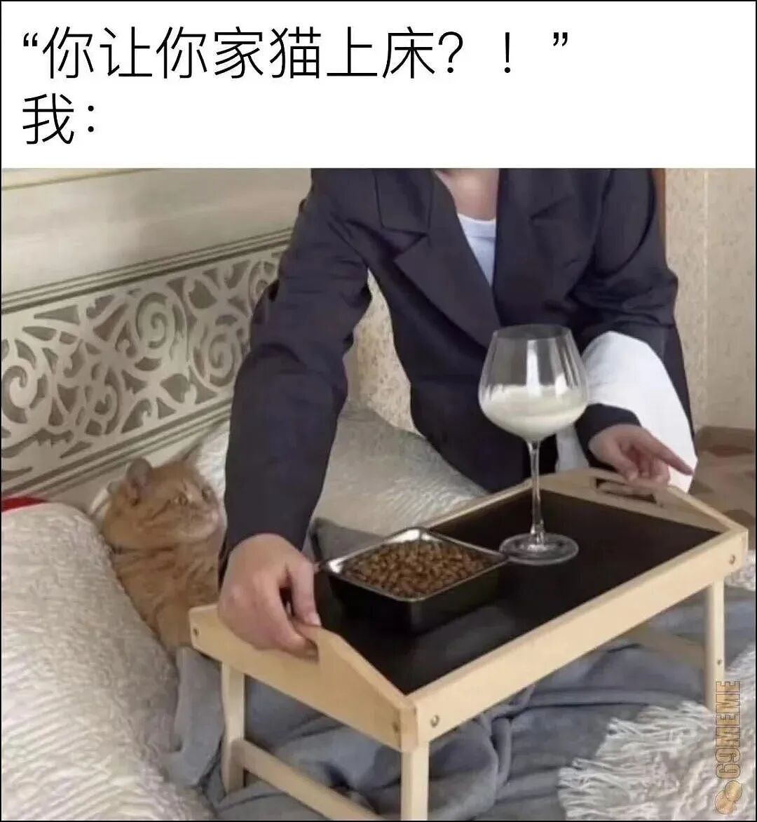 【宠物】养猫人为了让猫陪自己睡觉,居然用这种手段!网友:多宠咪,谁能分得清你和爱因斯坦呢(组图) - 3