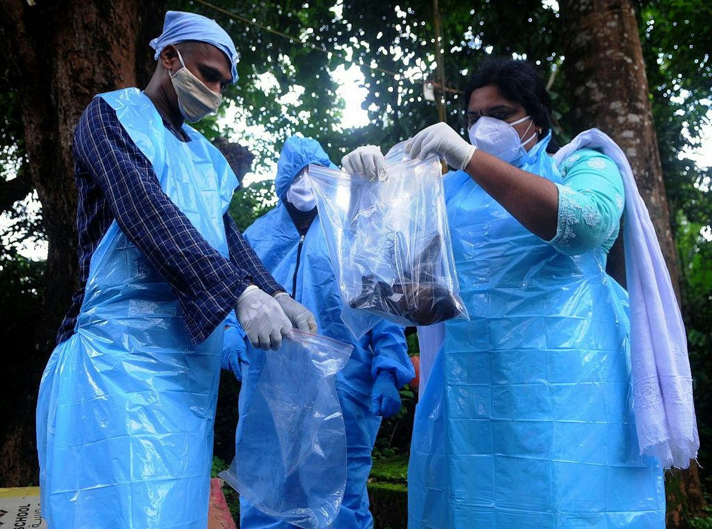 尼帕病毒Nipah Virus印度爆发，人与人之间怎传播（组图） - 2