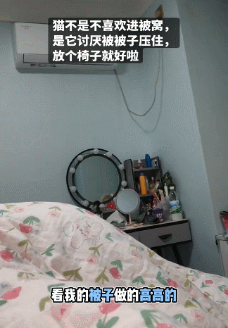 【宠物】养猫人为了让猫陪自己睡觉,居然用这种手段!网友:多宠咪,谁能分得清你和爱因斯坦呢(组图) - 5