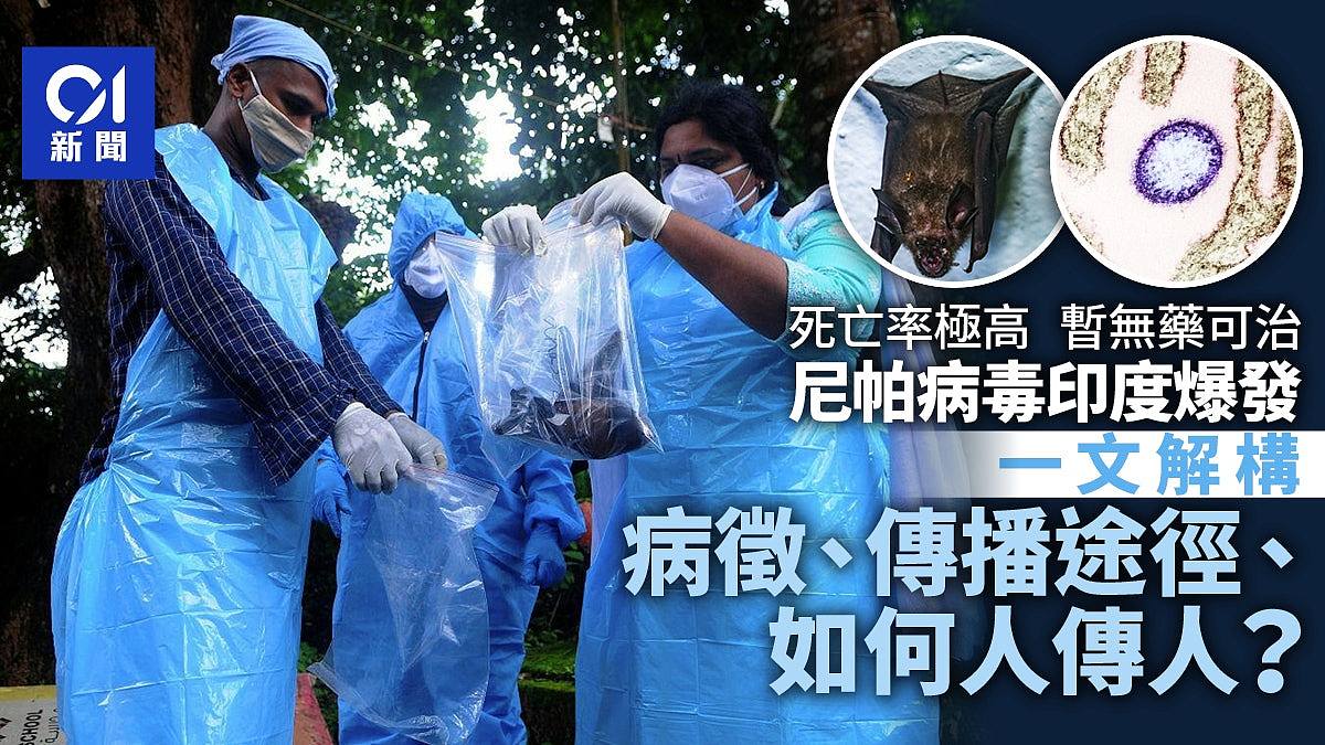 尼帕病毒Nipah Virus印度爆发，人与人之间怎传播（组图） - 1