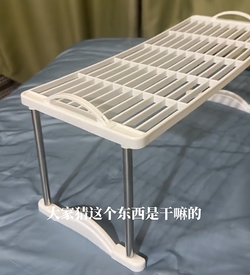 【宠物】养猫人为了让猫陪自己睡觉,居然用这种手段!网友:多宠咪,谁能分得清你和爱因斯坦呢(组图) - 6